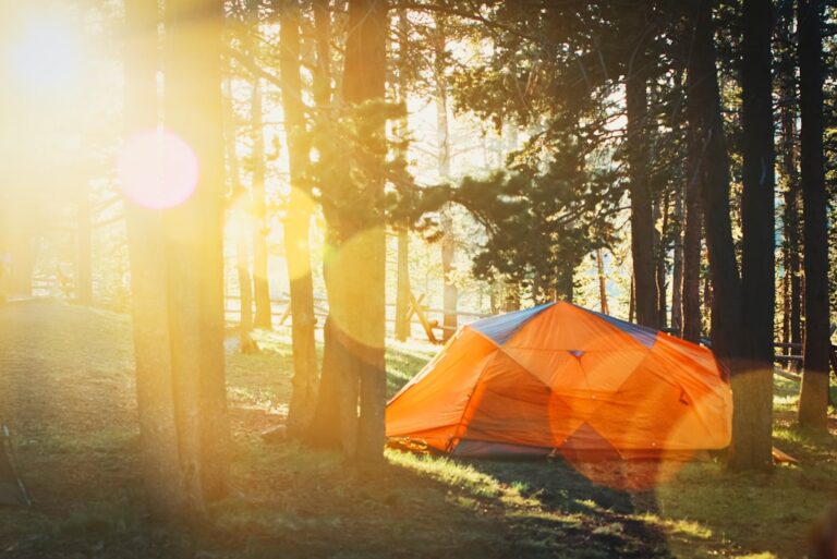 How to Choose the Perfect Camping Tent for Your Adventures