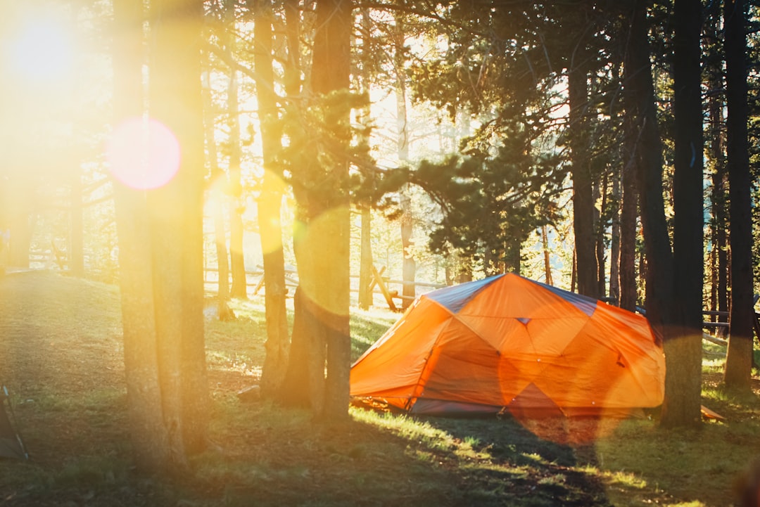 How to Choose the Perfect Camping Tent for Your Adventures How to Choose the Perfect Camping Tent for Your Adventures