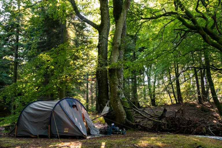 Exploring Different Types of Camping Tents for Every Traveler